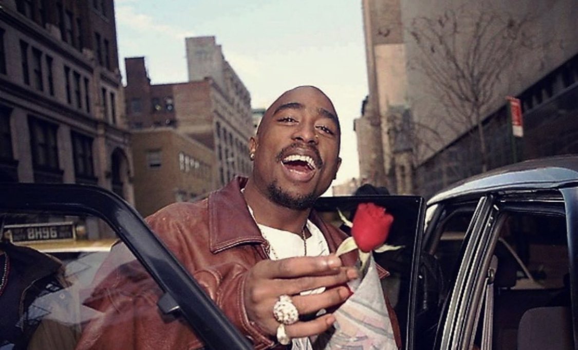 The Rose That Grew From Concrete